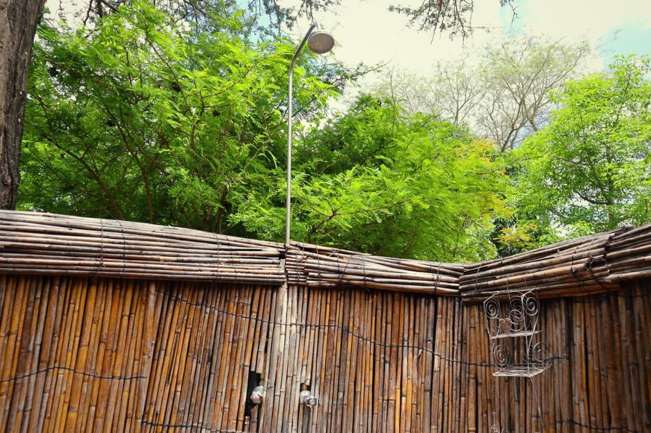 Munga Eco-Lodge Livingstone Ngoại thất bức ảnh