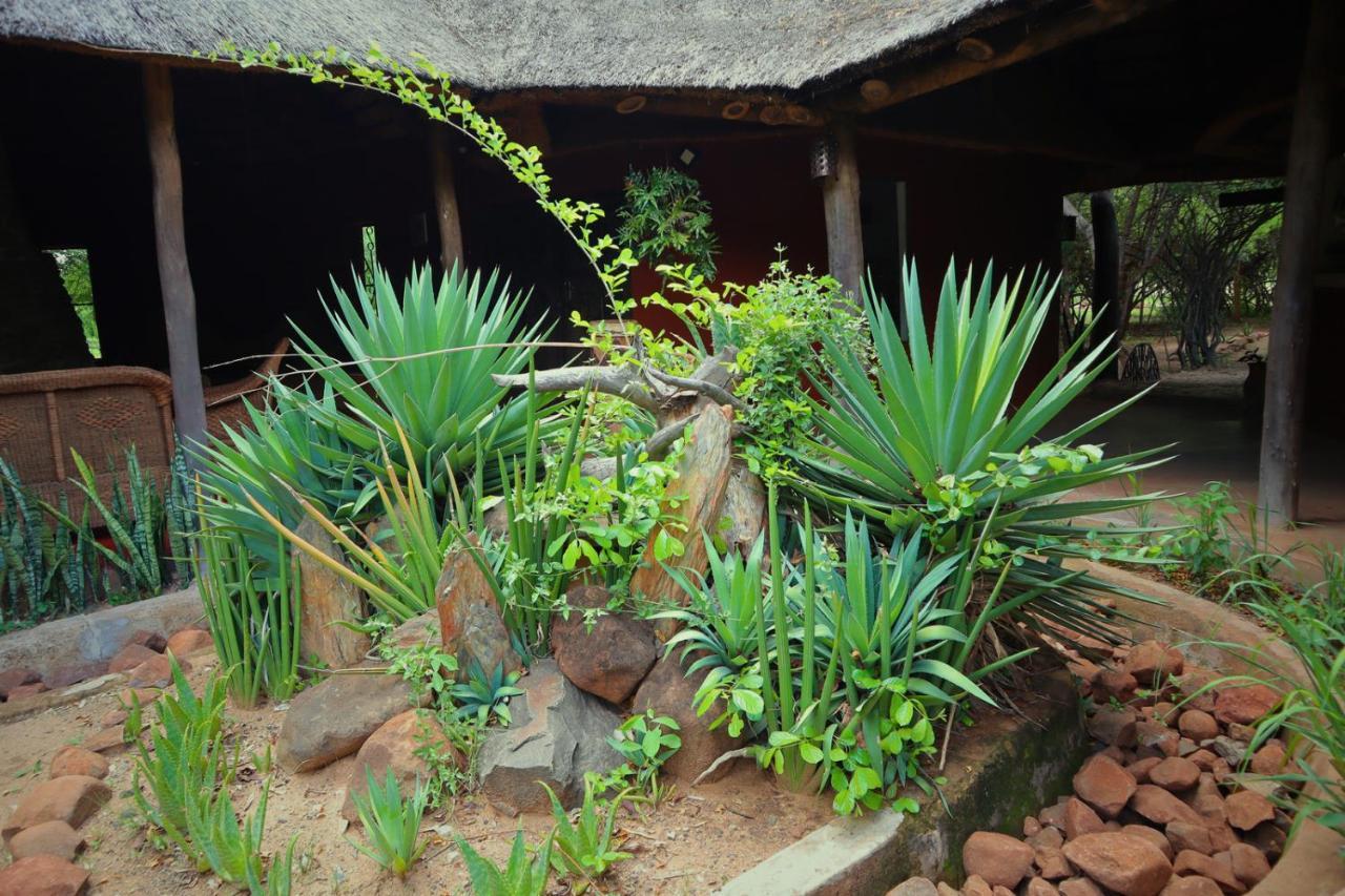 Munga Eco-Lodge Livingstone Ngoại thất bức ảnh