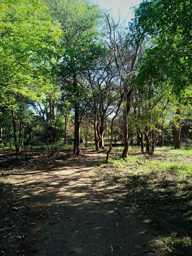 Munga Eco-Lodge Livingstone Ngoại thất bức ảnh