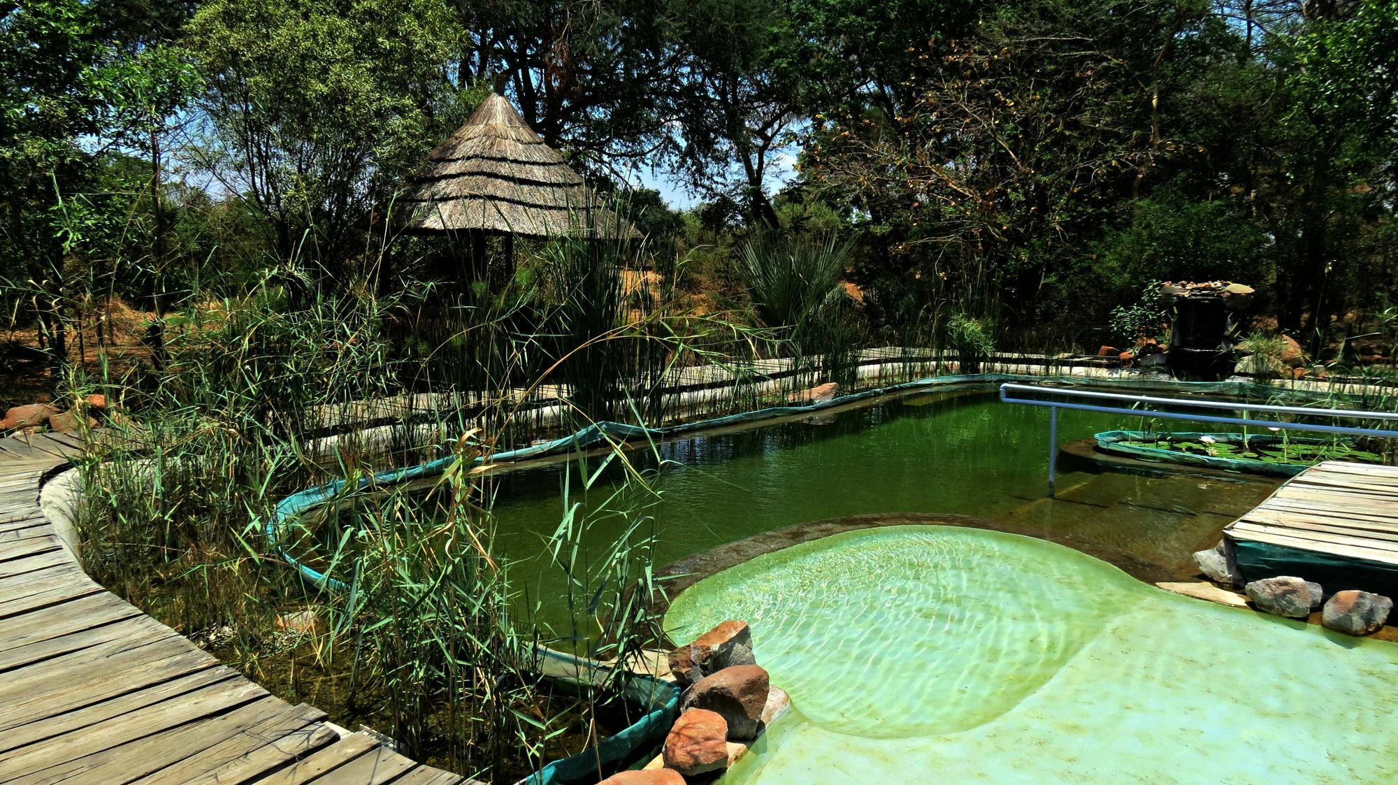 Munga Eco-Lodge Livingstone Ngoại thất bức ảnh